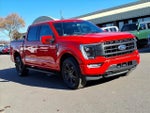2021 F-150 Thumbnail 7