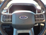 2021 F-150 Thumbnail 24