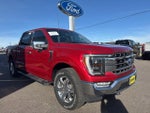 2021 F-150 Thumbnail 4