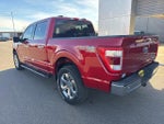 2021 F-150 Thumbnail 9
