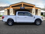 2021 F-150 Thumbnail 2