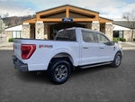 2021 F-150 Thumbnail 3