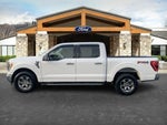 2021 F-150 Thumbnail 5