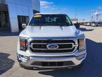 2021 F-150 Thumbnail 8