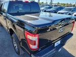 2021 F-150 Thumbnail 11