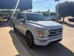 2021 F-150 Thumbnail 4