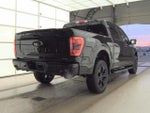 2022 F-150 Thumbnail 4
