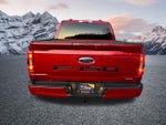 2022 F-150 Thumbnail 8