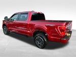 2022 F-150 Thumbnail 10