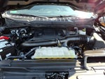 2022 F-150 Thumbnail 21