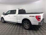 2022 F-150 Thumbnail 6