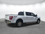 2022 F-150 Thumbnail 4
