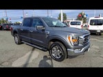2022 F-150 Thumbnail 2