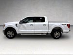 2022 F-150 Thumbnail 10