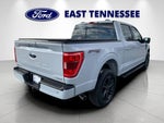 2022 F-150 Thumbnail 3