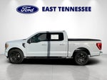 2022 F-150 Thumbnail 6