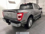 2022 F-150 Thumbnail 7