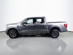 2022 F-150 Thumbnail 4