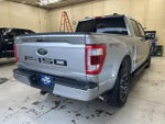 2023 F-150 Thumbnail 4