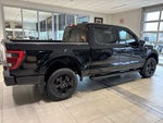 2023 F-150 Thumbnail 2
