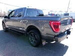 2023 F-150 Thumbnail 9