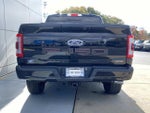 2023 F-150 Thumbnail 5