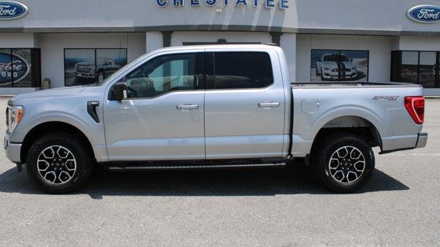 Preowned 2023 Ford F-150 King Ranch for Sale