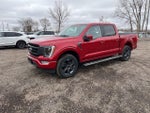 2023 F-150 Thumbnail 6