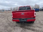 2023 F-150 Thumbnail 10