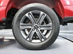 2023 F-150 Thumbnail 16