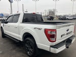 2023 F-150 Thumbnail 5