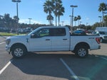 2023 F-150 Thumbnail 6