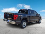 2023 F-150 Thumbnail 6