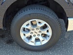 2023 F-150 Thumbnail 8