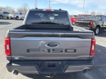 2023 F-150 Thumbnail 4