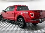 2023 F-150 Thumbnail 11