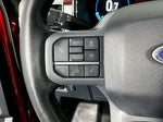 2023 F-150 Thumbnail 18