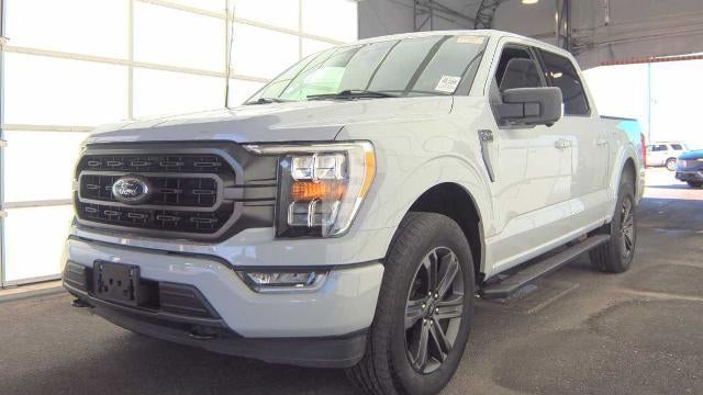 Preowned 2023 Ford F-150 XL for Sale