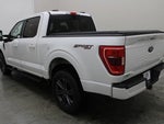 2023 F-150 Thumbnail 17