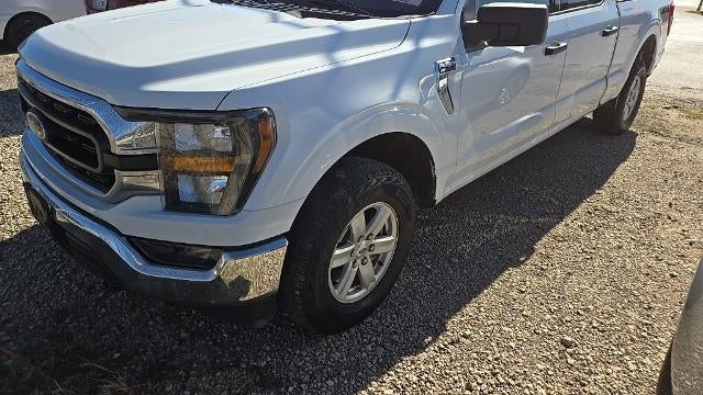 Preowned 2023 Ford F-150 King Ranch for Sale