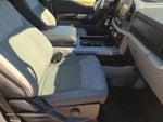 2023 F-150 Thumbnail 12
