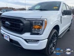 2023 F-150 Thumbnail 7