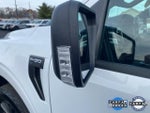 2023 F-150 Thumbnail 10