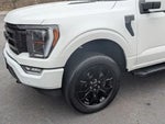 2023 F-150 Thumbnail 9
