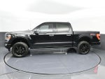 2023 F-150 Thumbnail 32