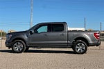 2023 F-150 Thumbnail 8