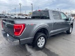 2023 F-150 Thumbnail 3