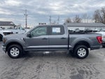 2023 F-150 Thumbnail 8