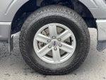 2023 F-150 Thumbnail 10
