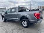 2023 F-150 Thumbnail 4